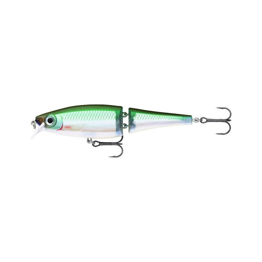 ΨΑΡΑΚΙΑ RAPALA BX® SWIMMER 12cm - 22gr