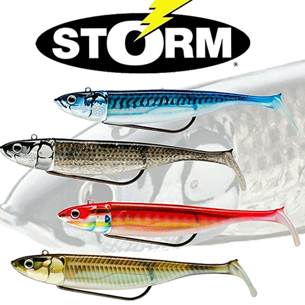 Σιλικόνες 360° Gt biscay shad της Storm